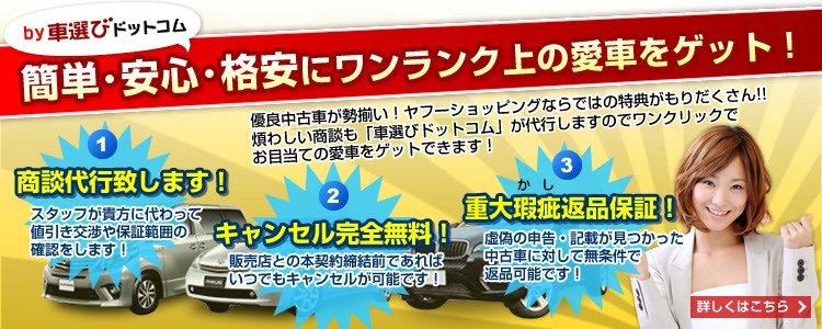 厳選中古車ショッピング.jpg